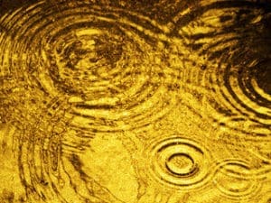 Beloved Gold Takes a Fall