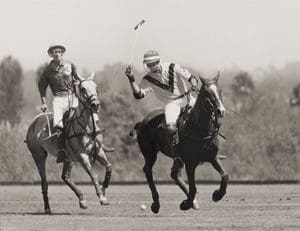 Brian Britt, polo